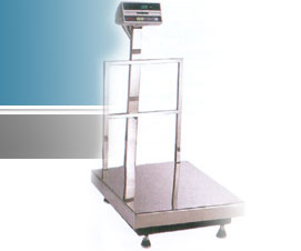 Industrial Platform Scale